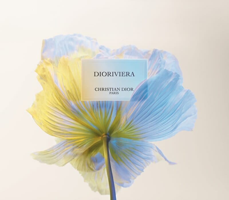 f024 lcp dioriviera 23 p04e label flower sw f39