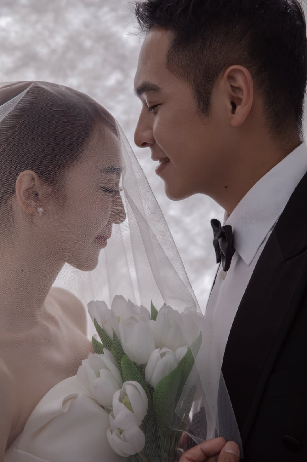 7051333e 2490 4bcd a50e 6bd75cc14c87