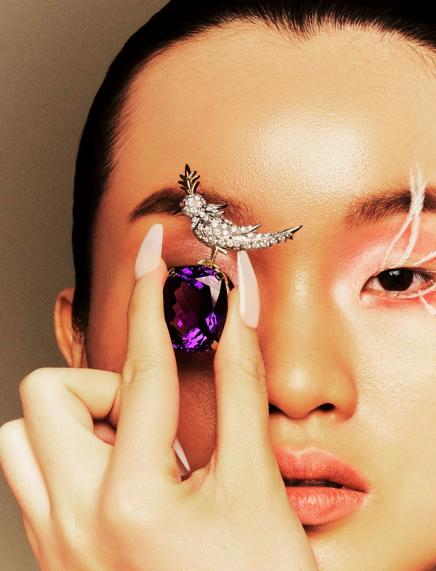 Tiffany & Co. Schlumberger® 系列Bird on a Rock 胸针