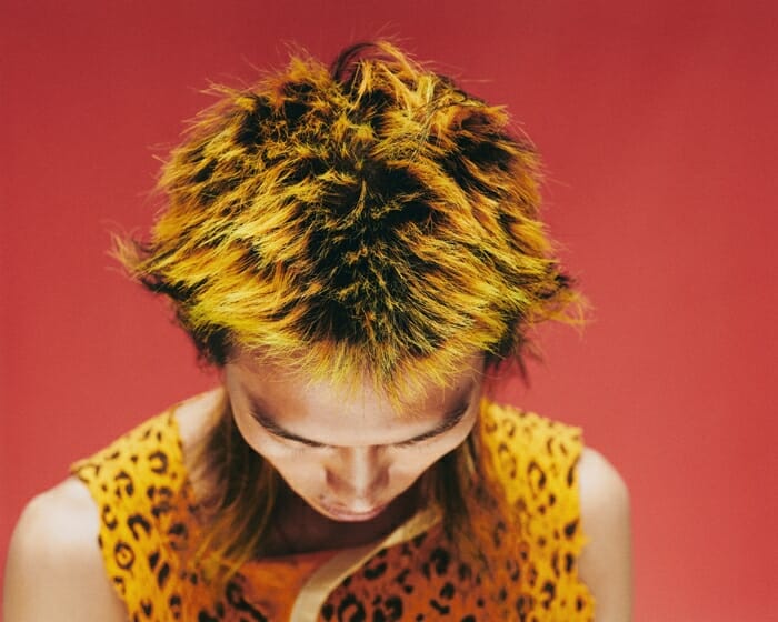 700osis texture model