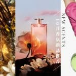 2023 new scent citta bella (2)