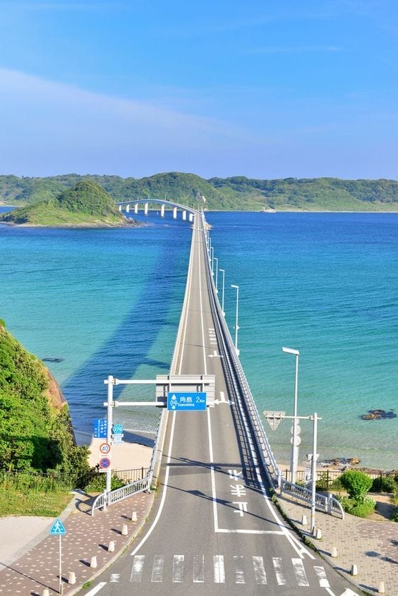 39d92ddb13342ed4743828325453d99e