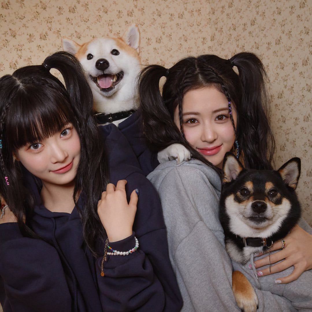 snapinsta.app 342716561 195082059957784 2505344920151548298 n 1080