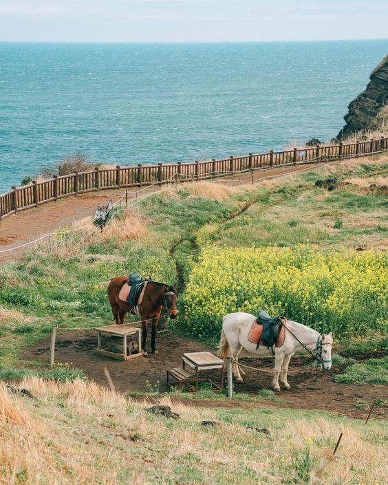 c44f224a087c98b8524598612a010e14