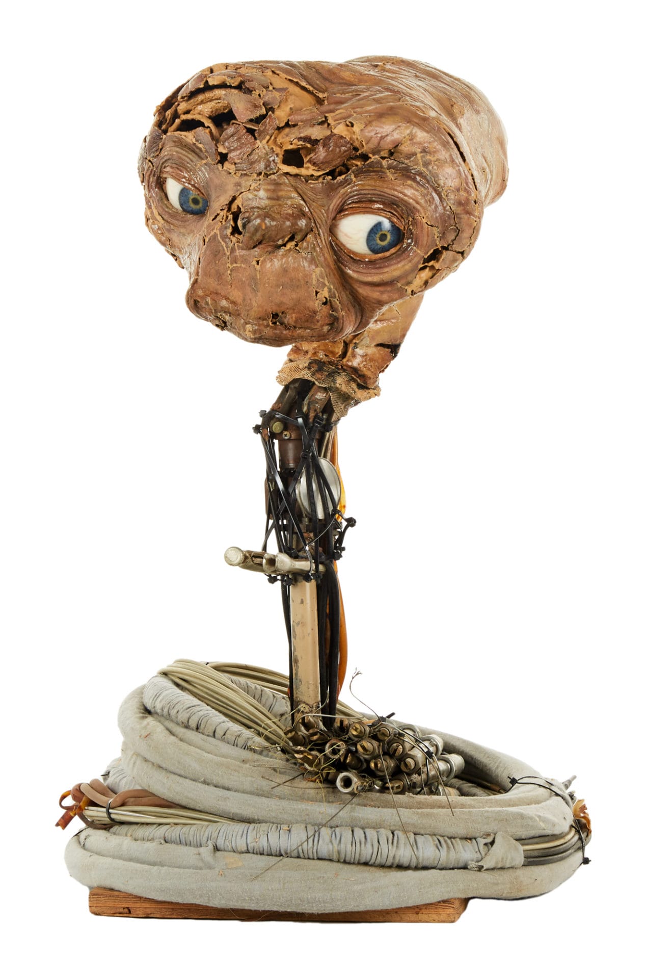 et animatronic head 4568032.001