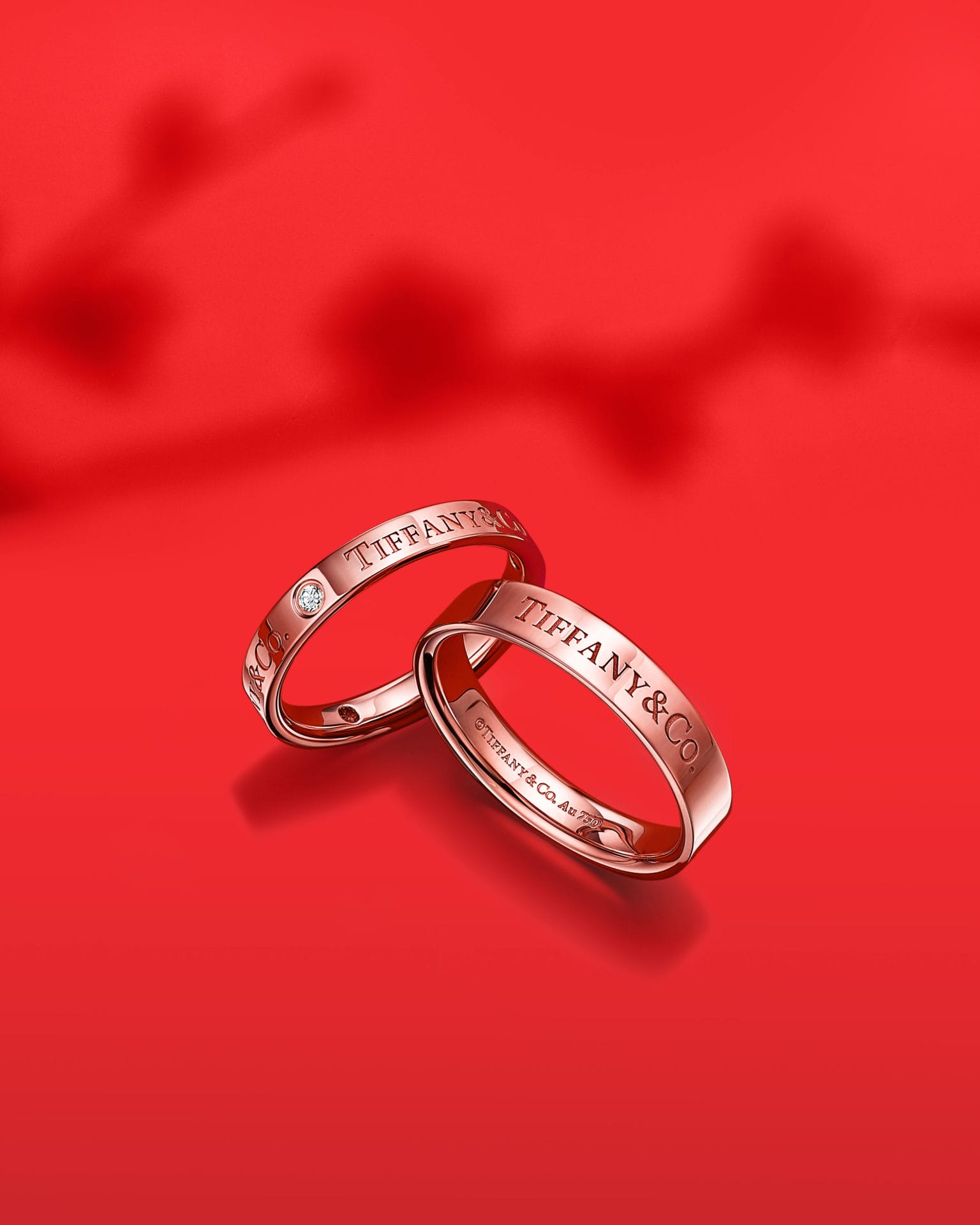 67216539 rg group cny v1 tm 113023 cv final 4x5