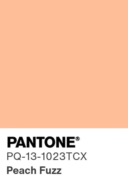 pantone peachfuzz (2)