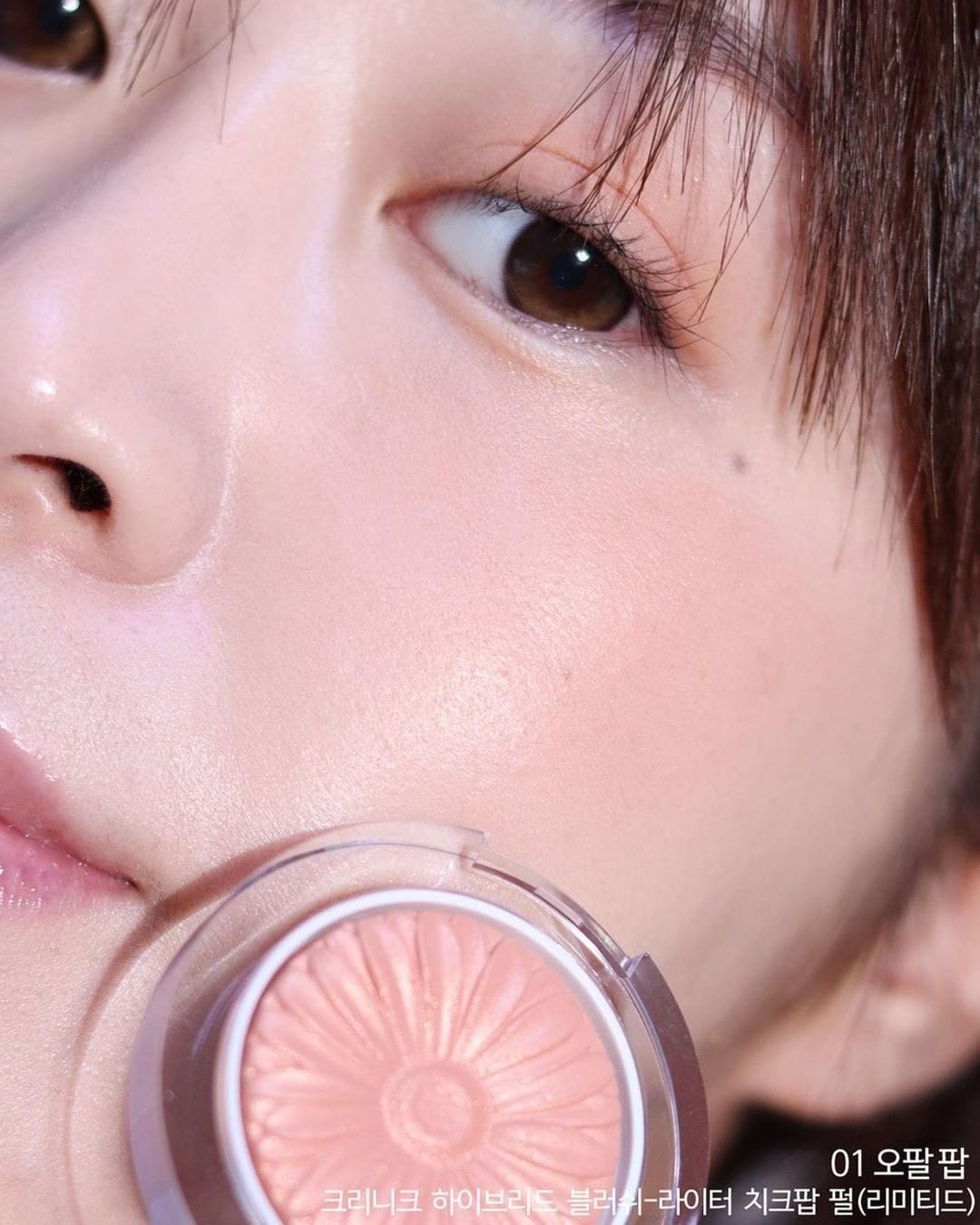 248044257 2795773784054007 174213568262280878 n