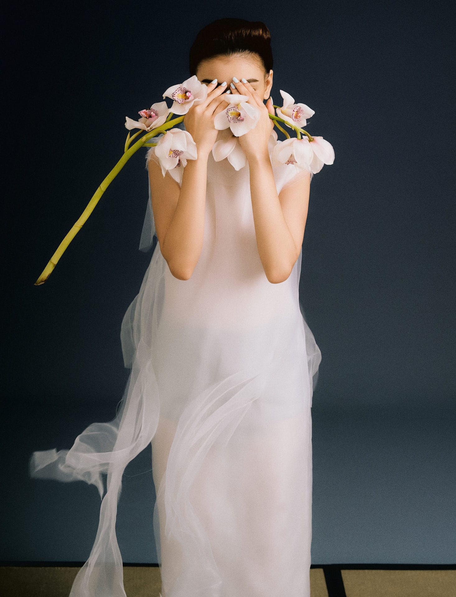 cittabella march 24 1329