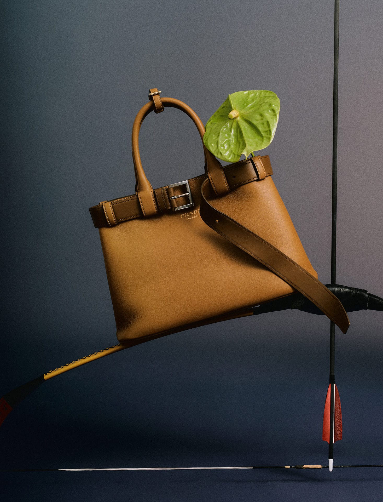 cittabella march 24 1475