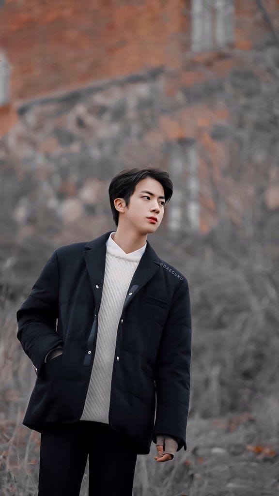 jin bts