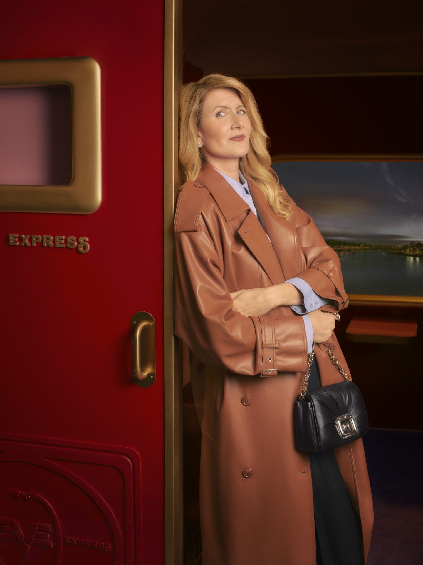 vivier express laura dern 3