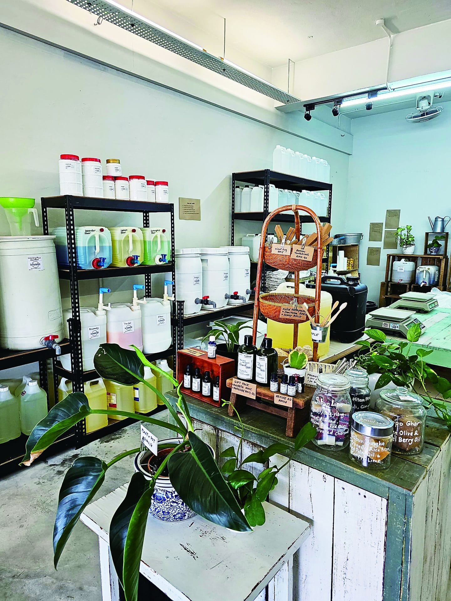 whatsapp image 2024 04 03 at 44319 pm yp