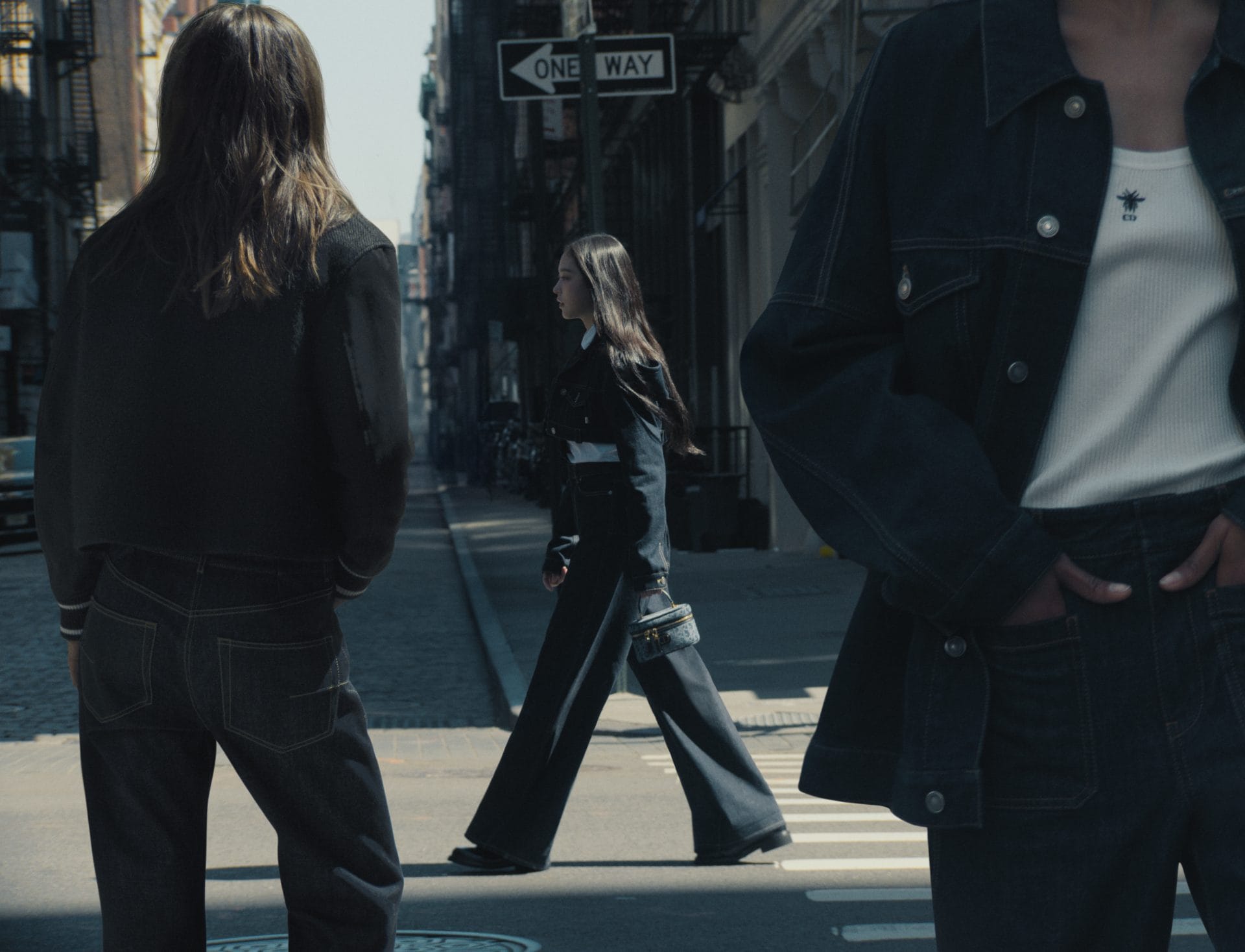 fall 24 denim dior oblique campaign with haerin © tanya & zhenya posternak 2