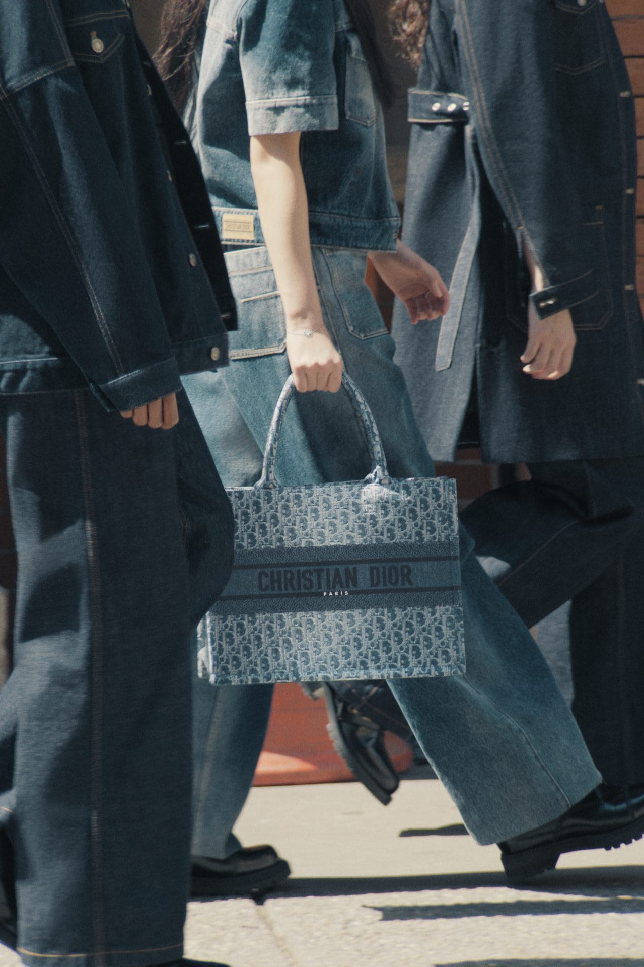 fall 24 denim dior oblique campaign with haerin © tanya & zhenya posternak 4