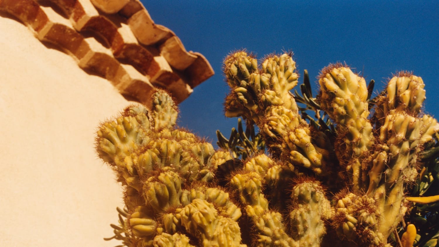 chanel cruise 2024 25 show photos by jamie hawkesworth 16 9 10 ld